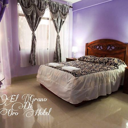 El Grano De Oro Hotel 图皮萨 外观 照片
