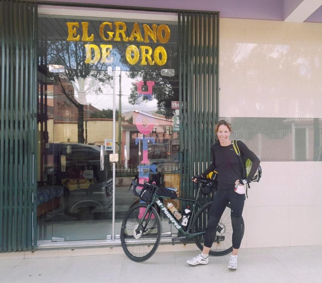 El Grano De Oro Hotel 图皮萨 外观 照片