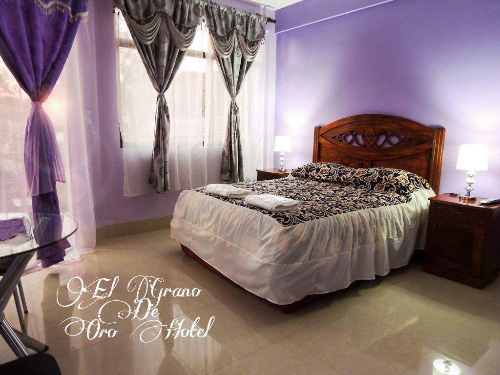 El Grano De Oro Hotel 图皮萨 外观 照片